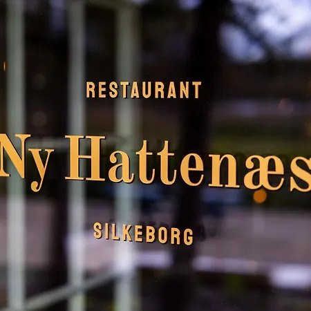 호텔 Ny Hattenaes *