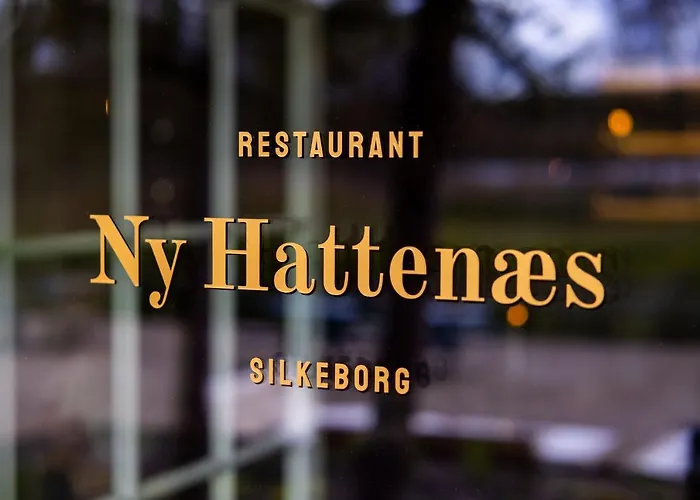 Hotel Ny Hattenæs *
